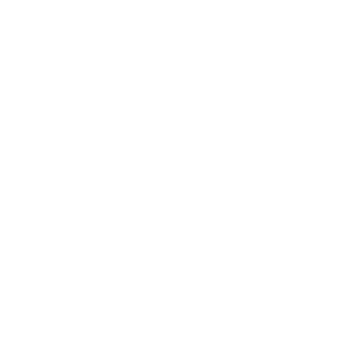 Stanford University